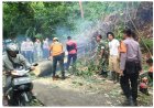 Babinsa dan Warga Gotong Royong Bersihkan Pohon Tumbang di Kuranji